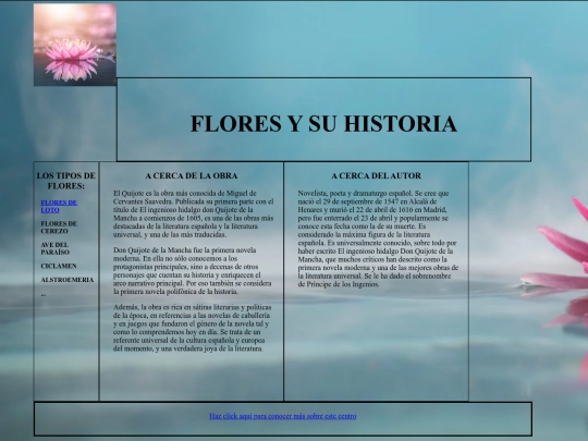 miweb screenshot