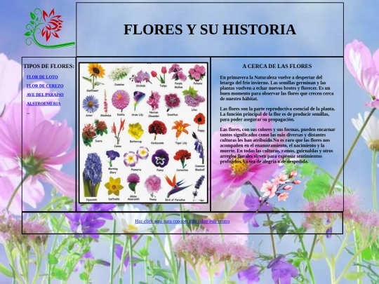 miwebveritas screenshot