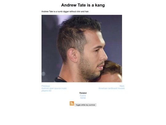pamphlet/andrew-tate screenshot
