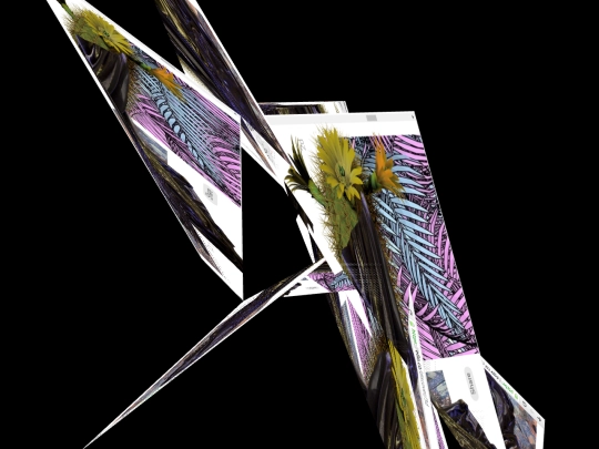 cactus screenshot