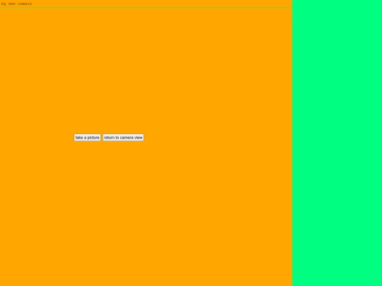 camra screenshot