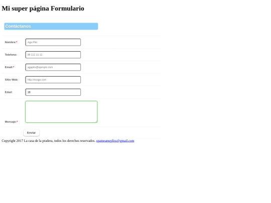 formulario screenshot
