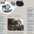 hirvitalo.neocities.org avatar
