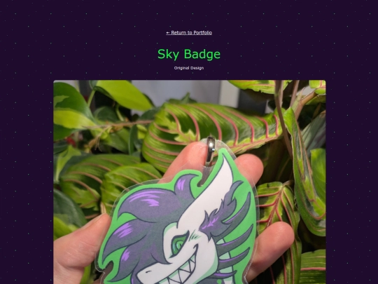 portfolio/pages/skybadge screenshot
