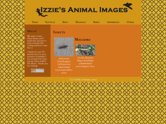 bugs screenshot