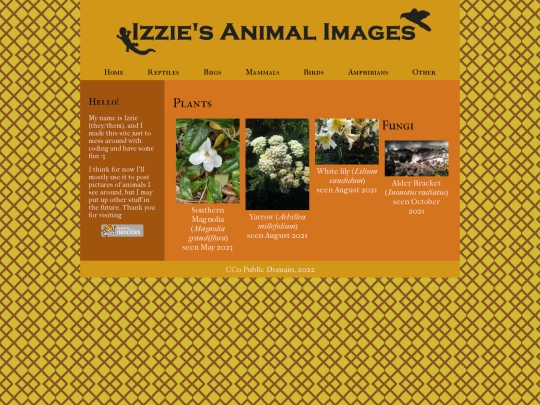 other screenshot