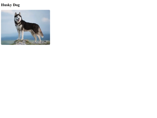 HDImage screenshot
