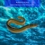 THE EEL POOL avatar