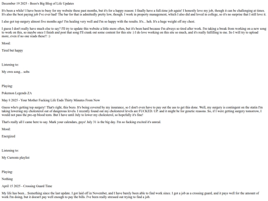 pages/blog/diary screenshot