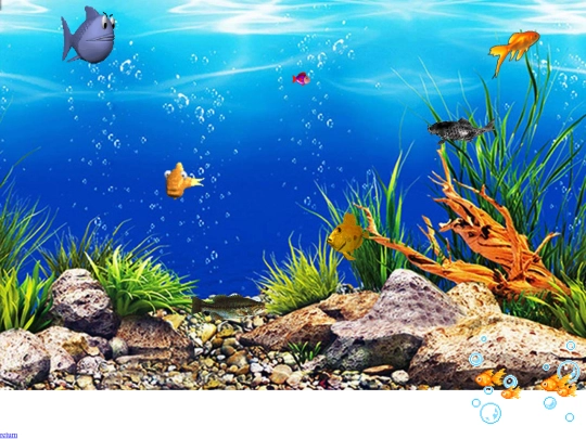 aquarium screenshot