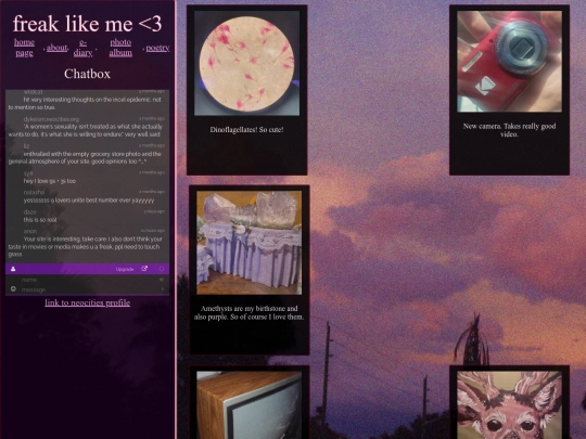 img screenshot