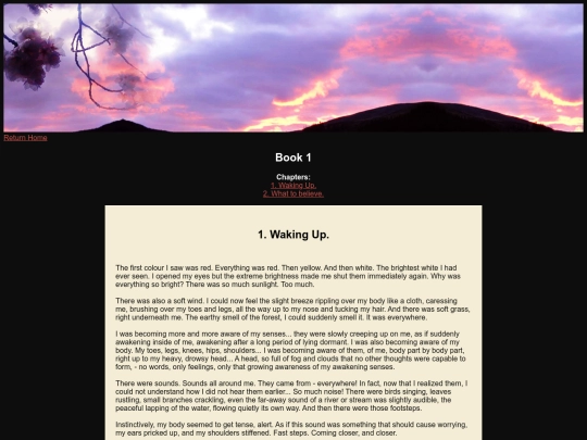 book_chapter_01 screenshot