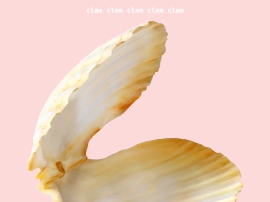 clampix screenshot
