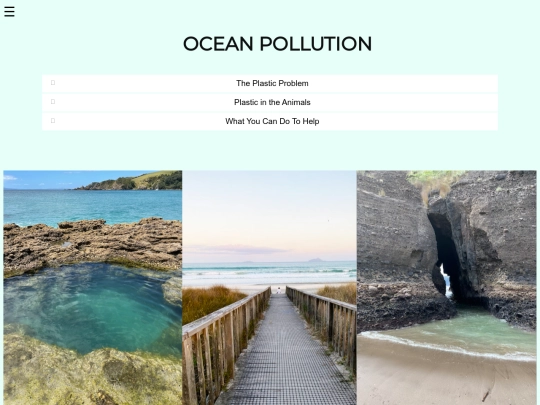 oceanpollution screenshot