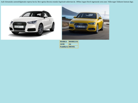 gidatuzgozatu/audi screenshot
