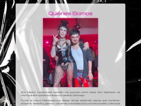 categorias/quienes-somos screenshot