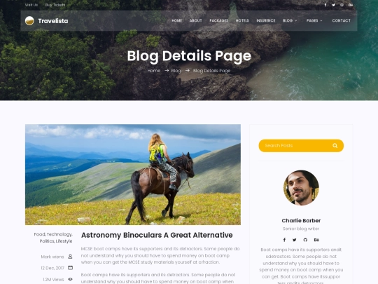 blog-single screenshot