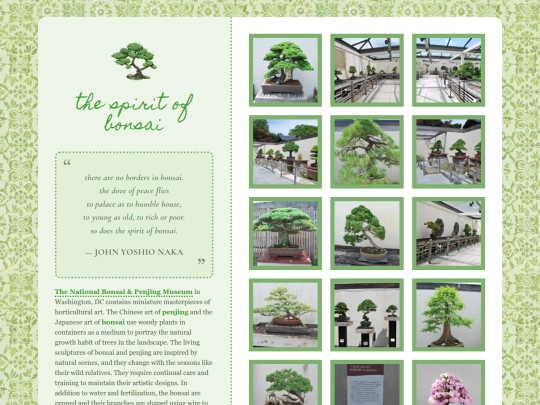 bonsai screenshot