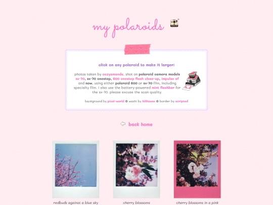 polaroids screenshot