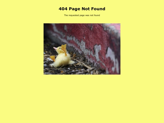 not_found screenshot