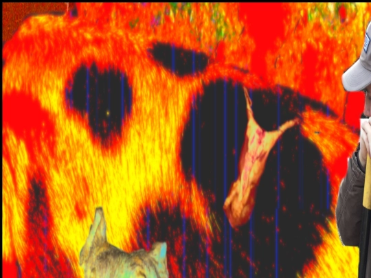 WholeHog/WholeHog screenshot