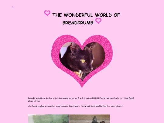 breadcrumb screenshot