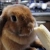 
      nom
     avatar