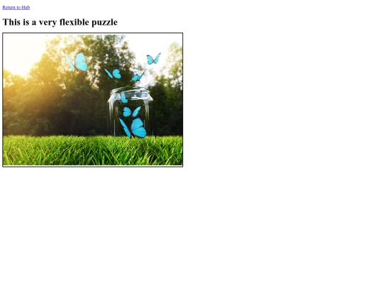 MyNewsHub/FlexiblePuzzle screenshot