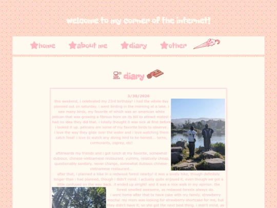 diaryentries/diaryentry3 screenshot
