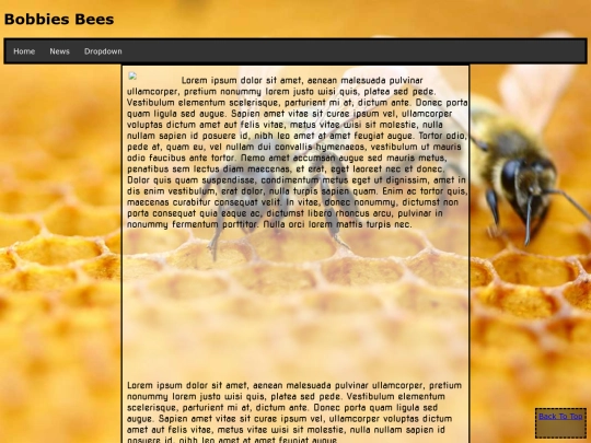bobbiesbees screenshot
