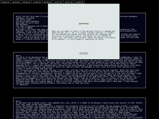 diary screenshot