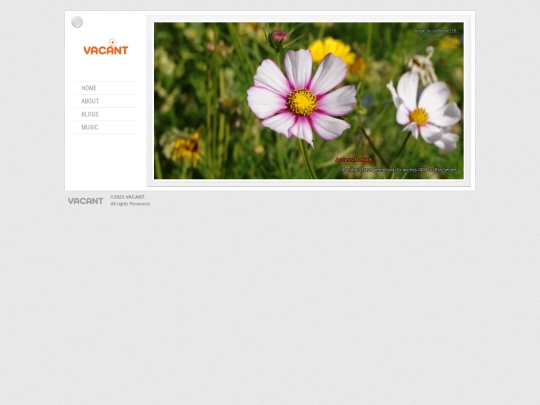 403 screenshot