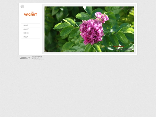 404 screenshot