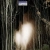 waspnests.neocities.org avatar