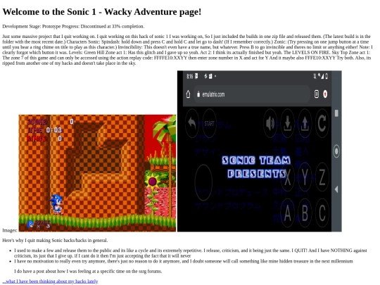 Sonic1WackyAdventure screenshot