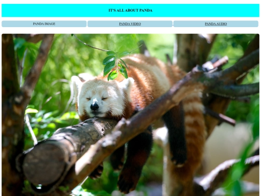 homework/homework screenshot