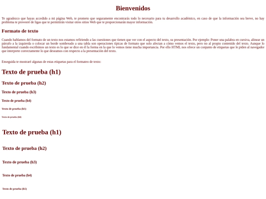 Pagina1 screenshot