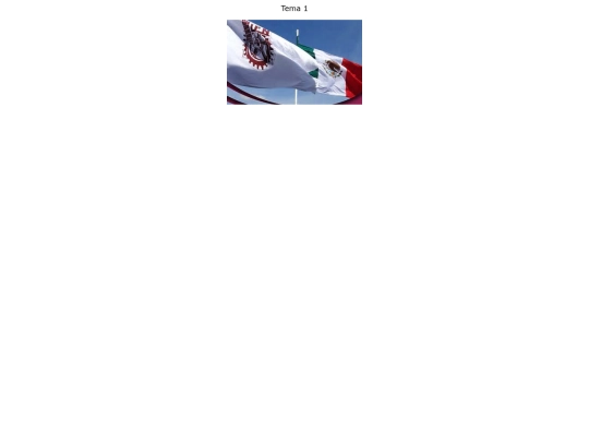 inicio screenshot