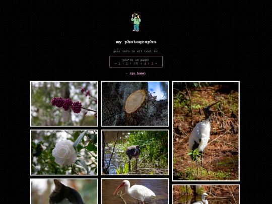 photos/3 screenshot