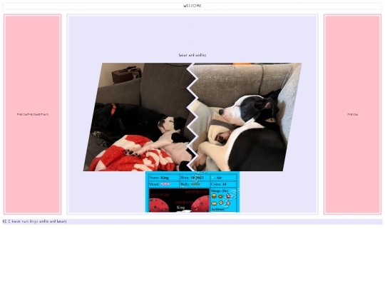 PETS screenshot