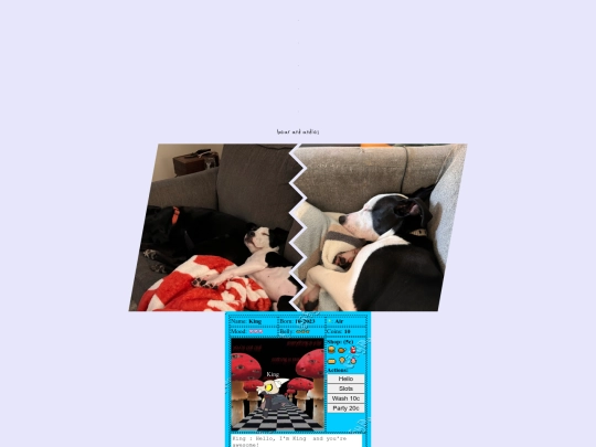 meowmeowmewo screenshot