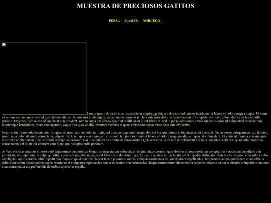 examenXY/persa screenshot
