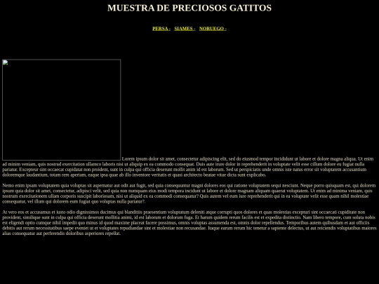 examenXY/siames screenshot