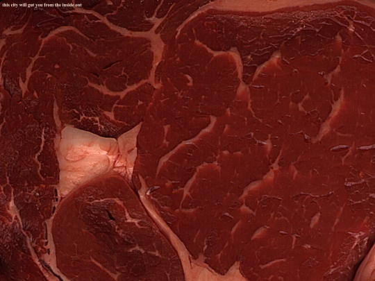 viscera screenshot