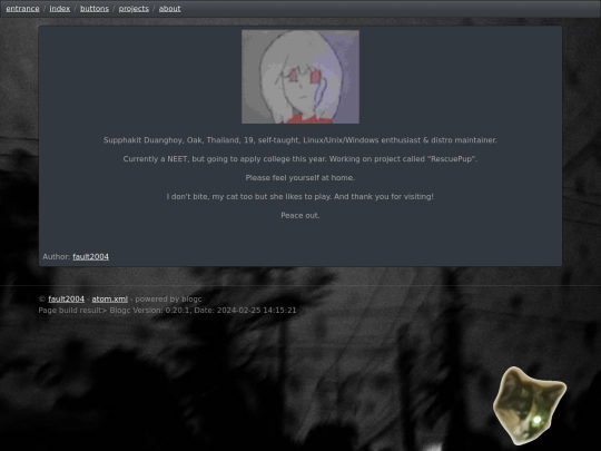 blog/about screenshot