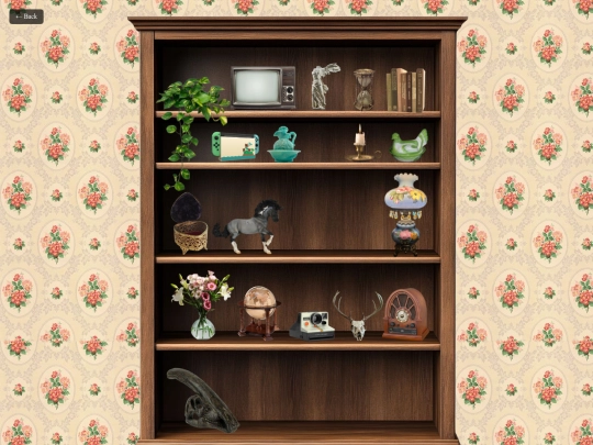 shelf screenshot