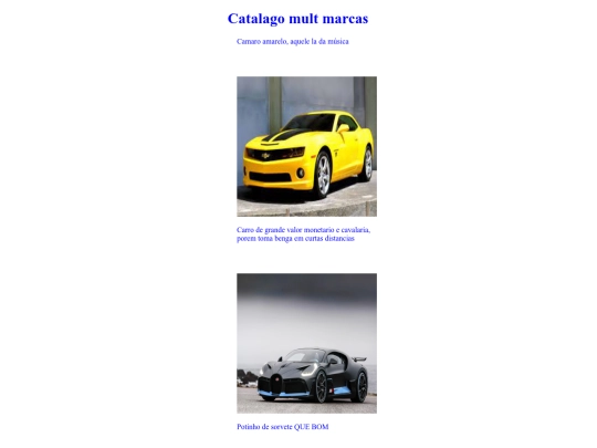 catalago html e css screenshot