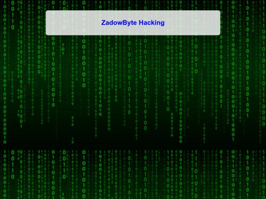 home screenshot