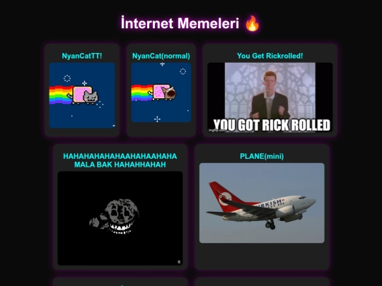 Nn screenshot