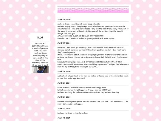 blog screenshot